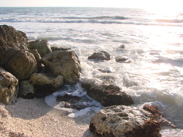 Rocks And Waves