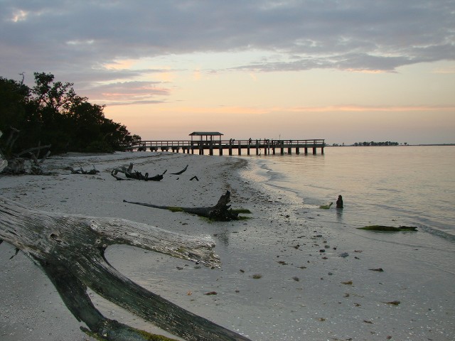 Driftwood and Pier