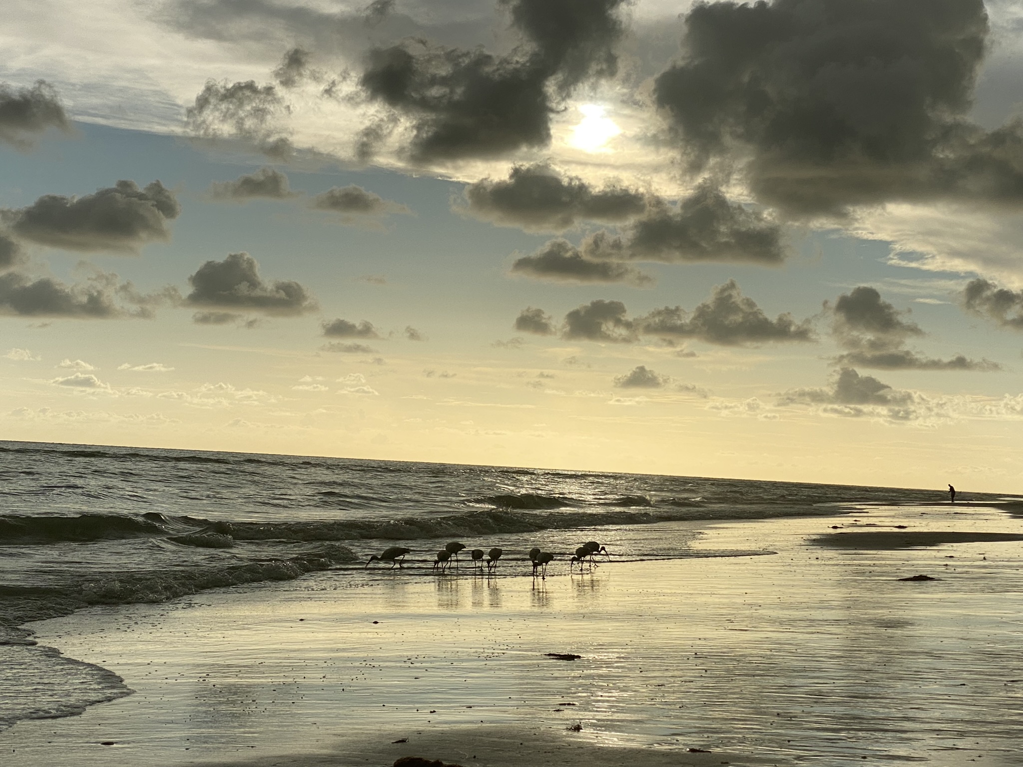 Sunset on Beach